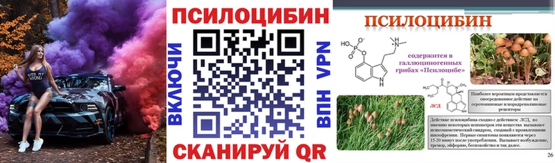 Псилоцибиновые грибы Psilocybe  ссылка на мегу ONION  Мосальск  дарнет шоп 